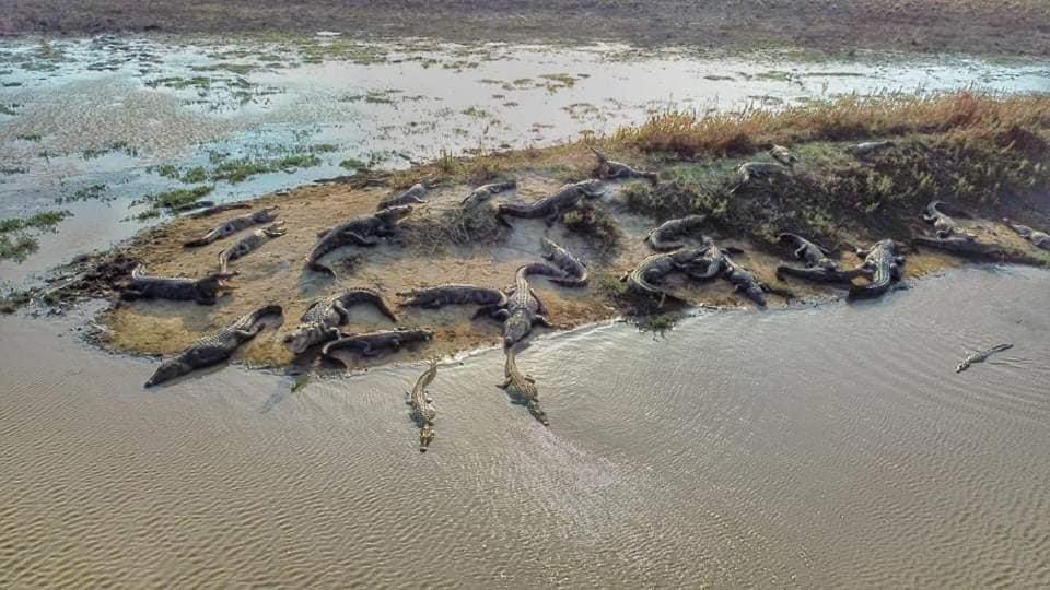 Crocodile Park Bungalow Катарагама Екстер'єр фото